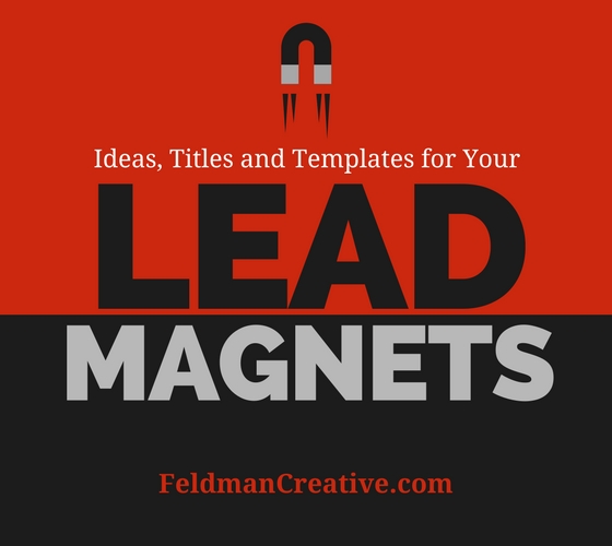 Lead Magnet Ideas