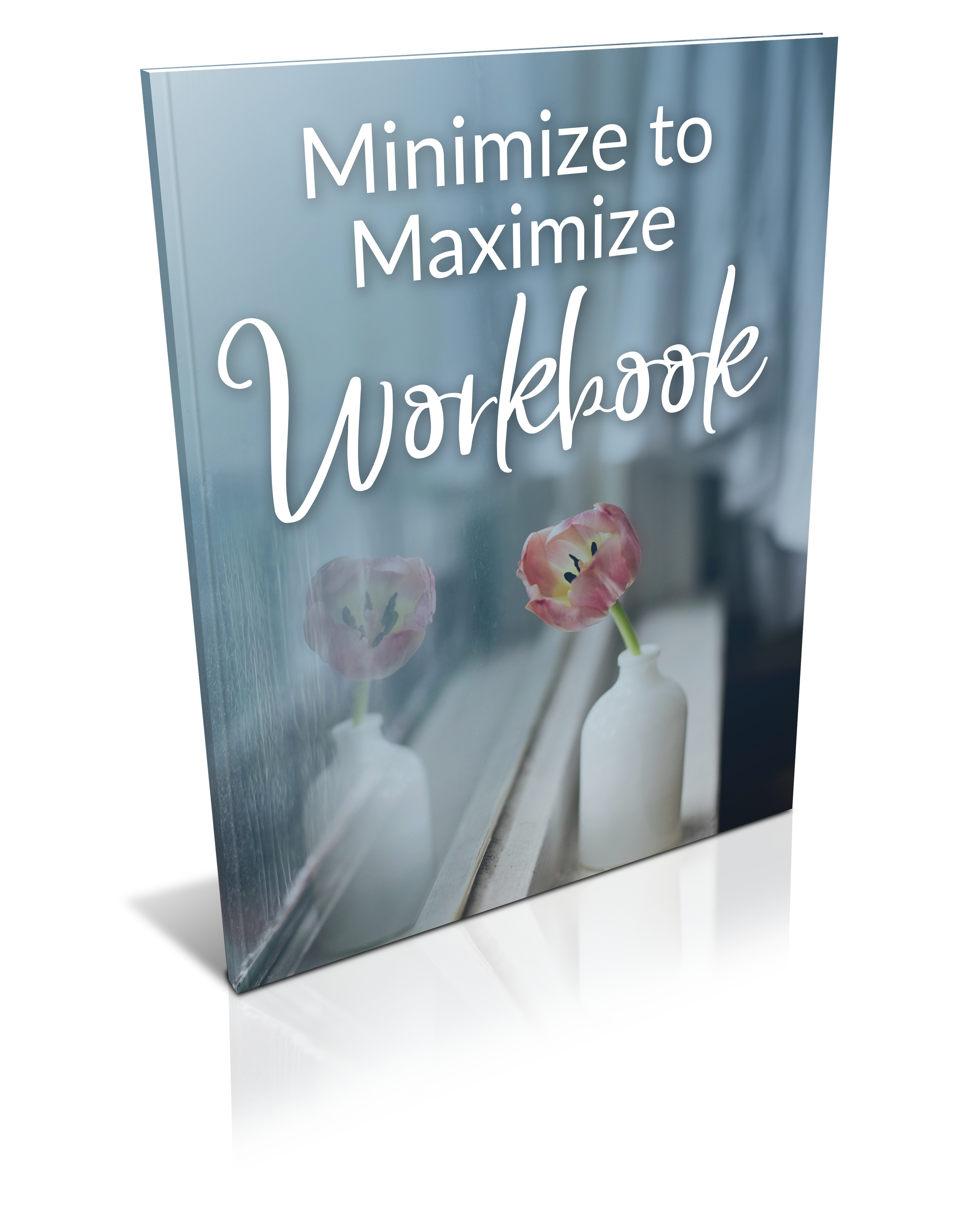 Minimize to Maximize Workbook