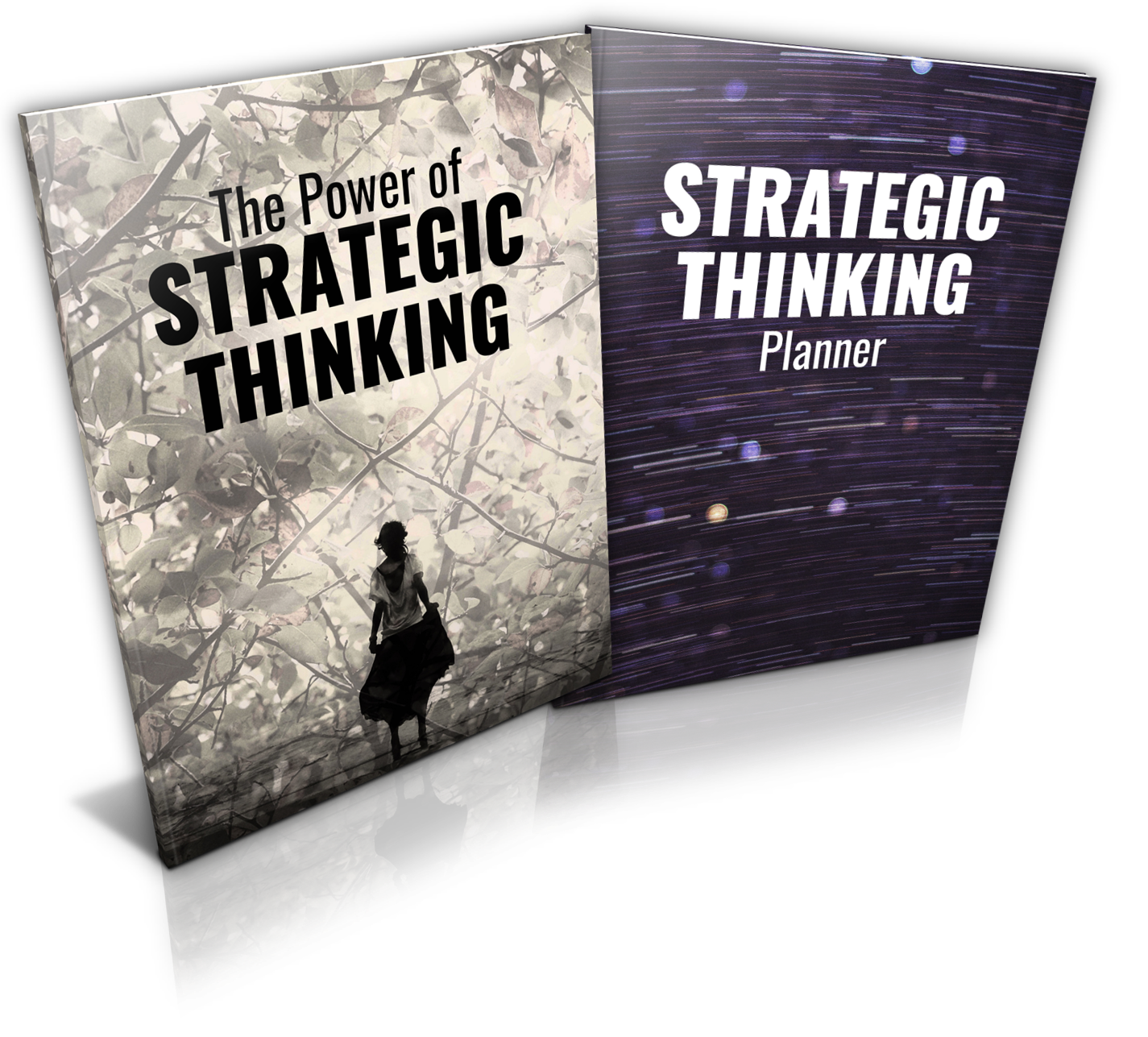 Strategic Thinking Ecovers