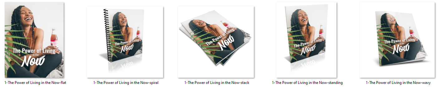 1 Ecover The Power of Living in the Now