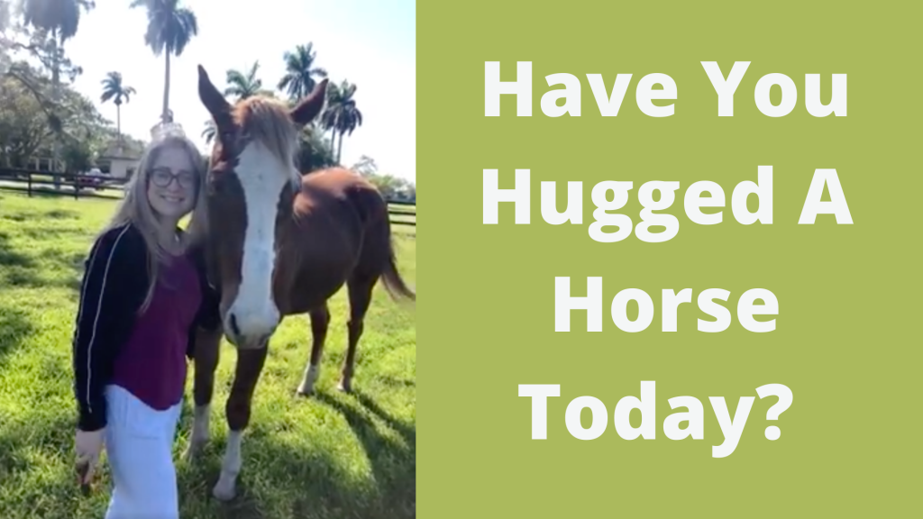 horse
