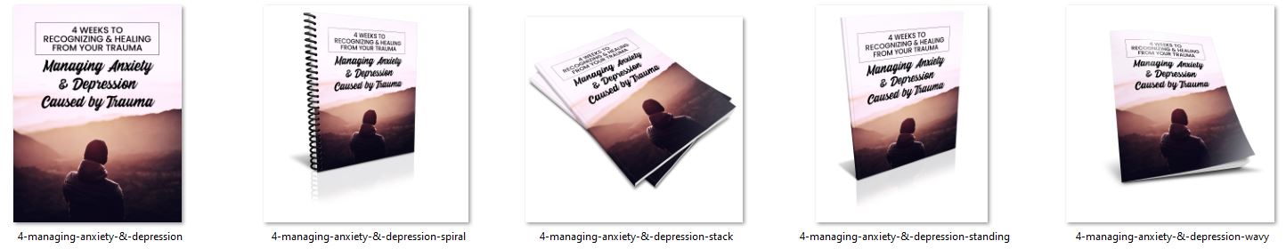 managing anxiety and depression ecovers plr