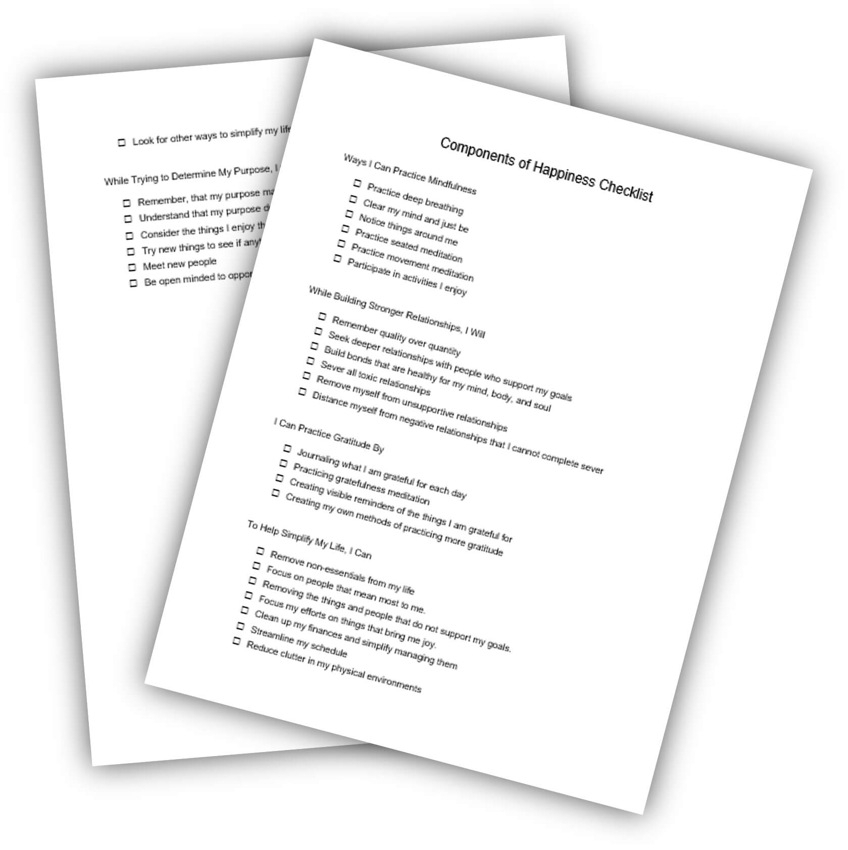 Components of Happiness Checklist PLR