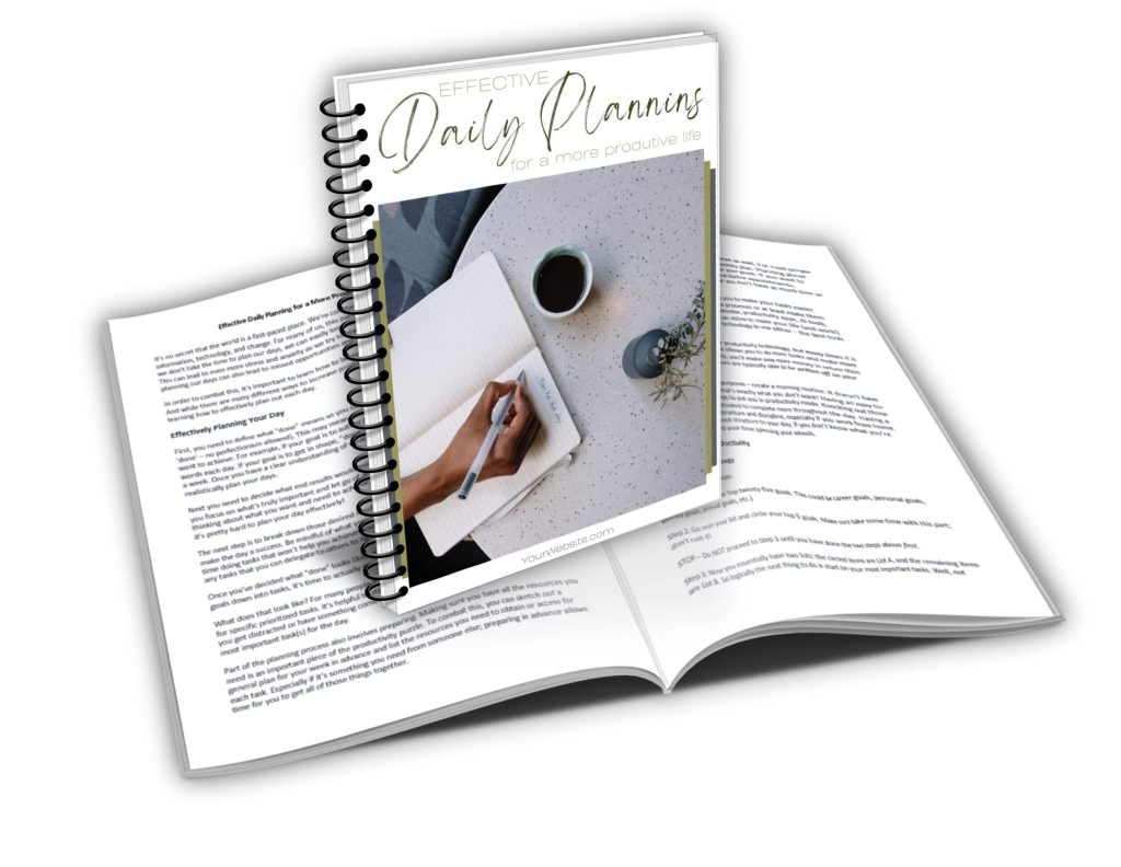 Daily Planning PLR Report promo graphic