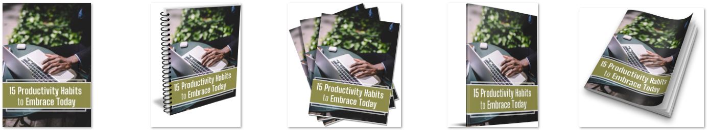 Productivity Habits Report PLR ecovers