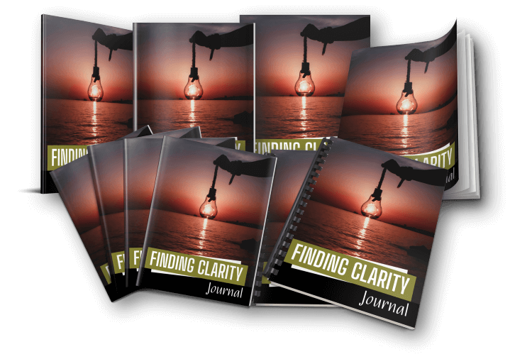 finding clarity journal ecovers plr