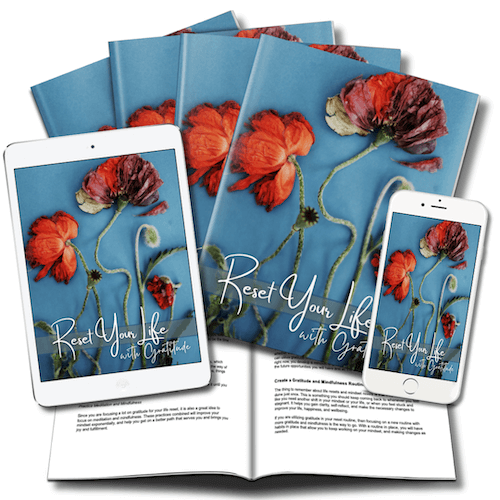Reset Your Life with Gratitude Lead Magnet eCover sample images - version 1